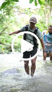 BIB:  <button type="button" onclick="openModal(26821020)" class="btn btn-primary btn-sm float-right" data-toggle="modal" data-target=".modal-high-quality">
                <i class="fa fa-download"></i> Download
                </button>